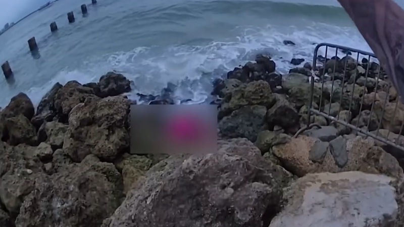 https://media.cnn.com/api/v1/images/stellar/prod/112401-clearwater-rescue-wide-00-00-03-02-still001.png?c=16x9&q=w_800,c_fill