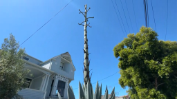 112452_Agave Death Bloom horizontal thumb.png
