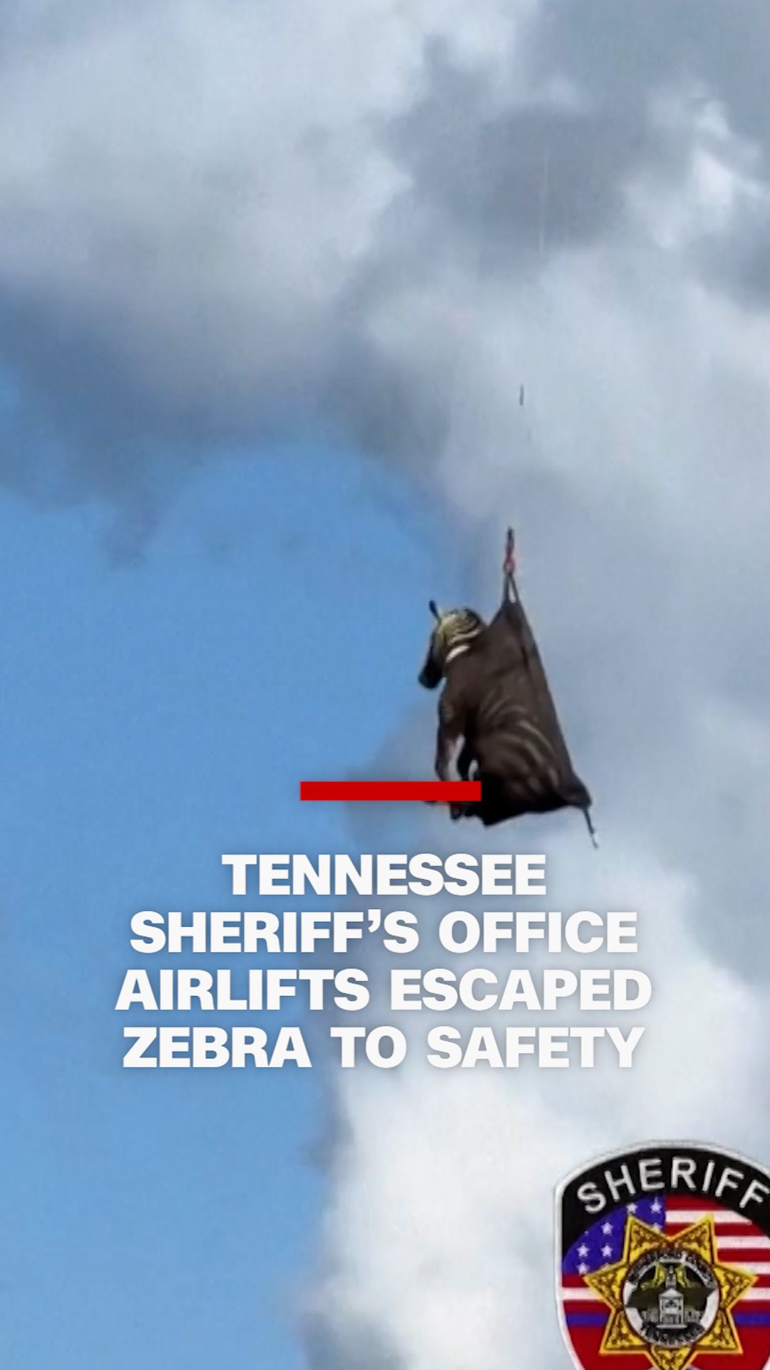 112544_zebra airlift tennessee_vrtc_final.00_00_54_12.Still004.jpg