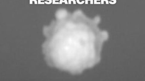 112593_hail-cameras-research FONTED.JPG
