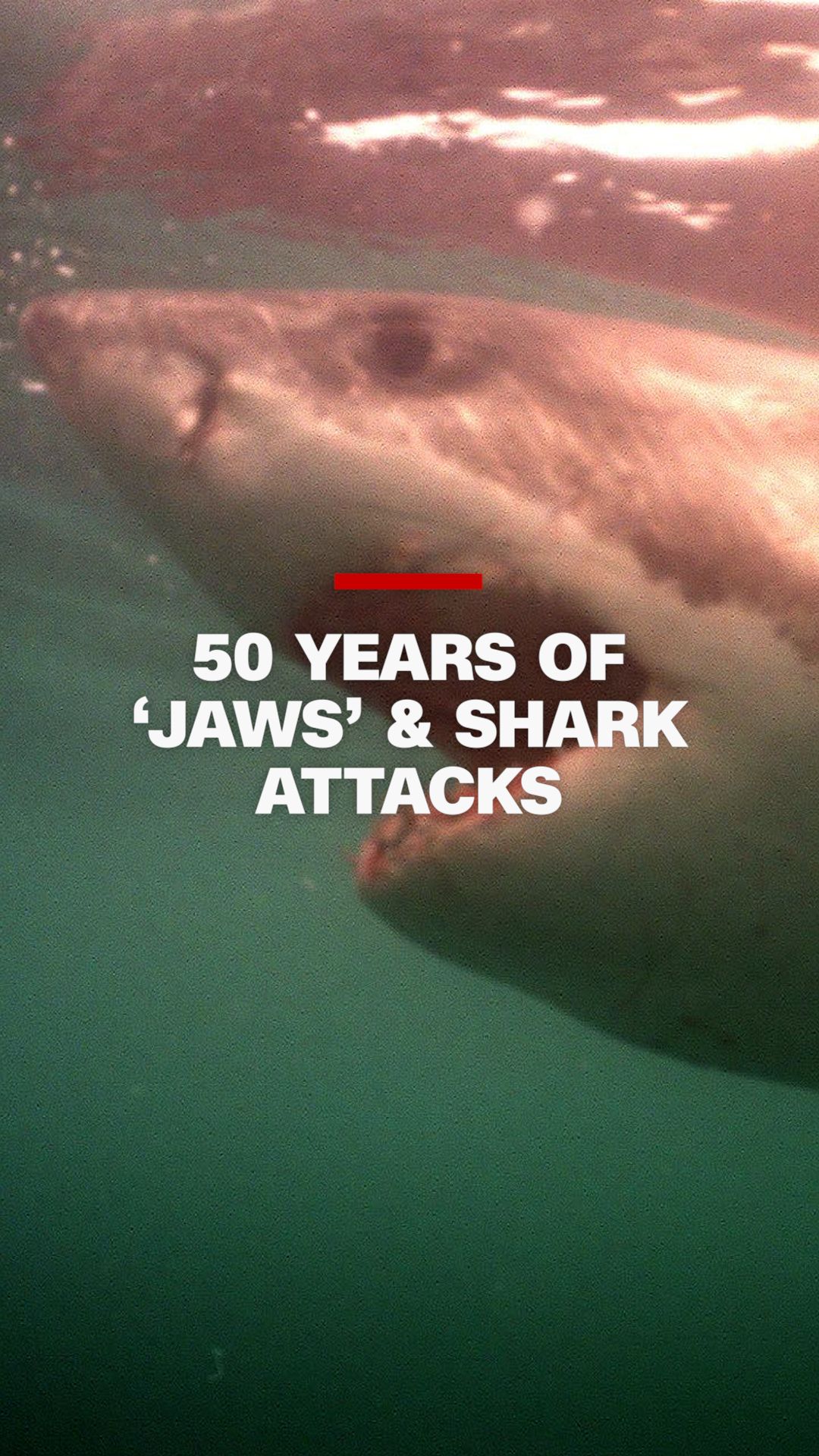 112684_Jaws stats Harry Enten VT THUMB.jpg