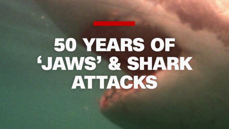 https://media.cnn.com/api/v1/images/stellar/prod/112684-jaws-stats-harry-enten-vt-thumb.jpg?c=16x9&q=w_800,c_fill