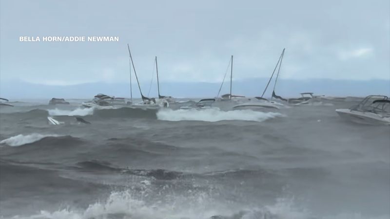 article preview
