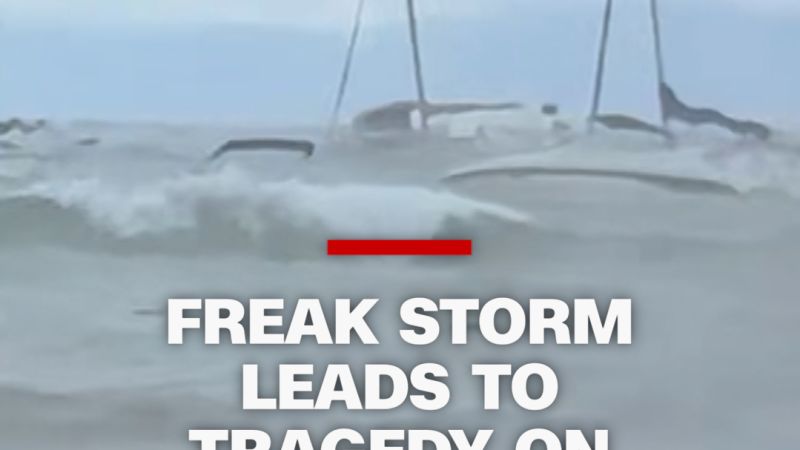 article preview