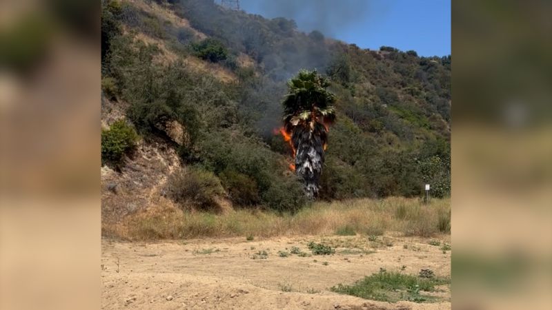 Video shows hikers confronting suspected arsonist who allegedly started a fire in LA