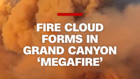 113313_grand canyon fire thumb vrtc.jpg