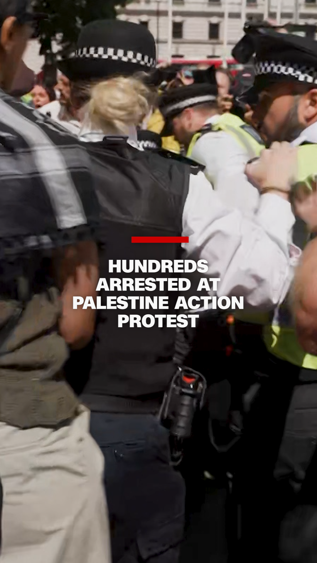113404_Pro Palestine Protests fonted thumb vrtc..png