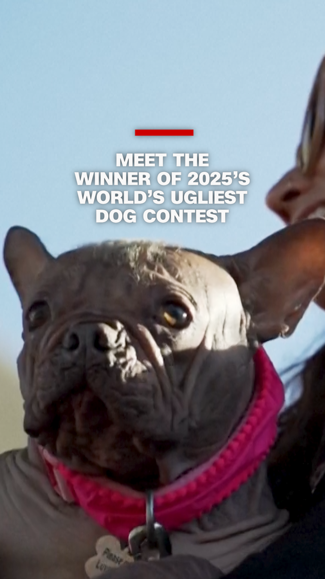 113421_UglyDogWinner vrtc.00_00_02_25.Still001.png