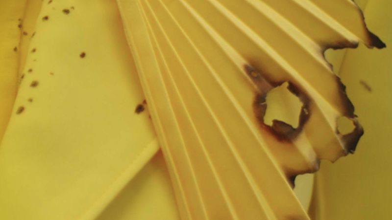 Meet the designer who burns his creations