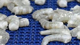 113560_RadioactiveShrimpVertical clean.jpg