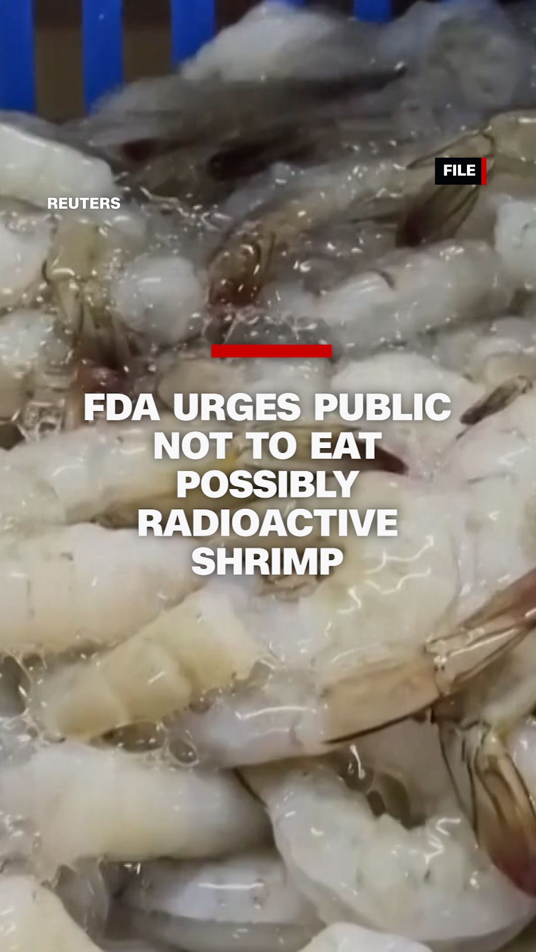 113560_RadioactiveShrimpVertical thumbnail.jpg