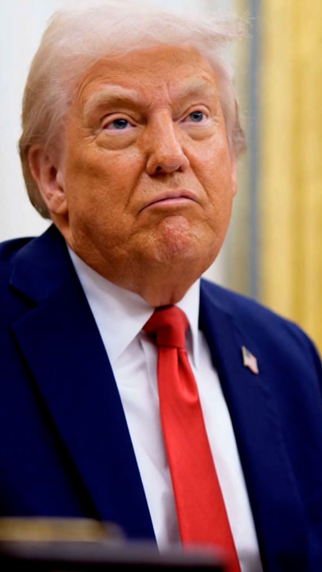 113588_Honig NY appeals Trump VERT THUMB CL.jpg