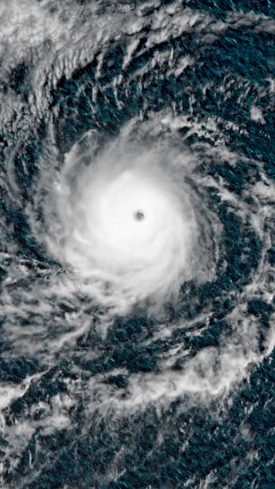 113807_Hurricane Kiko Clean Thumbnail vrtc0.jpg