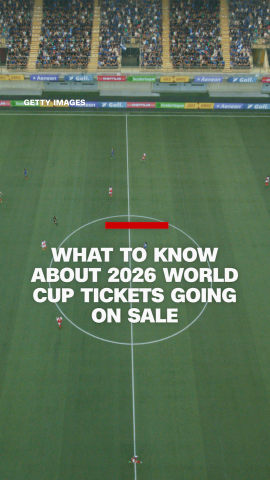 113864_world cup coy vert thumb dirty.png