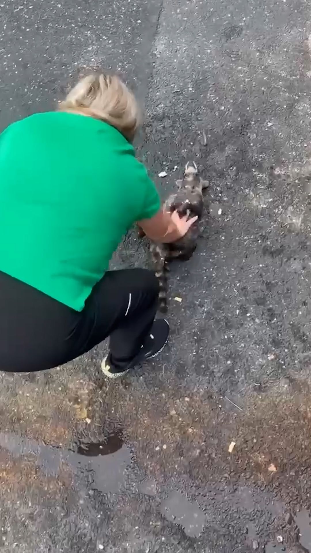 113942_NurseSavesRacoon_Thumb.jpg