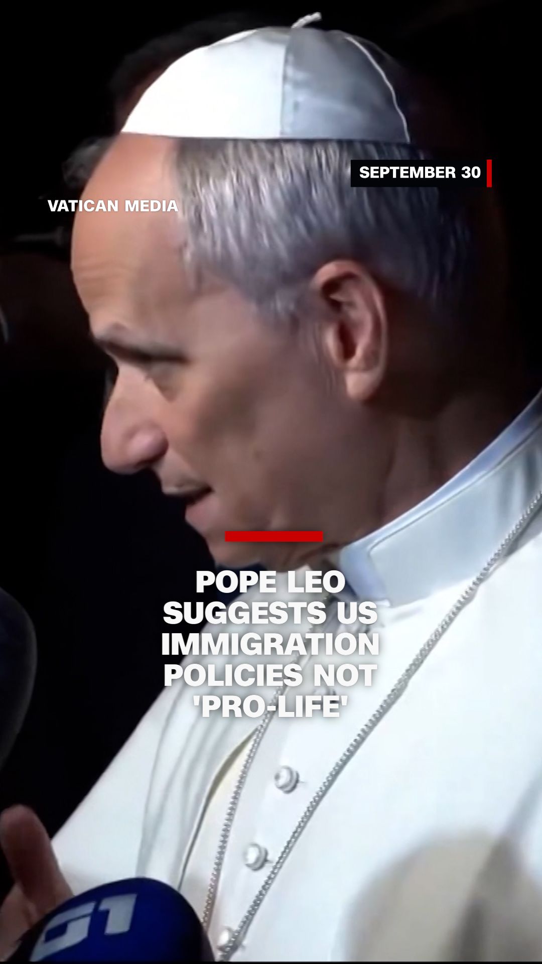 114293_PopeLeoImmigrantProLifeVertical NEW.jpg