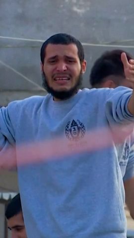 114512_palestine releases vert thumb.jpg