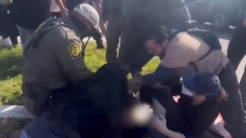 Bystanders try to stop CBP arrest in Chicago