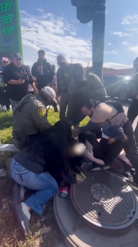 114616_BystandersCBPArrestChicago vrtc thumb cln.png