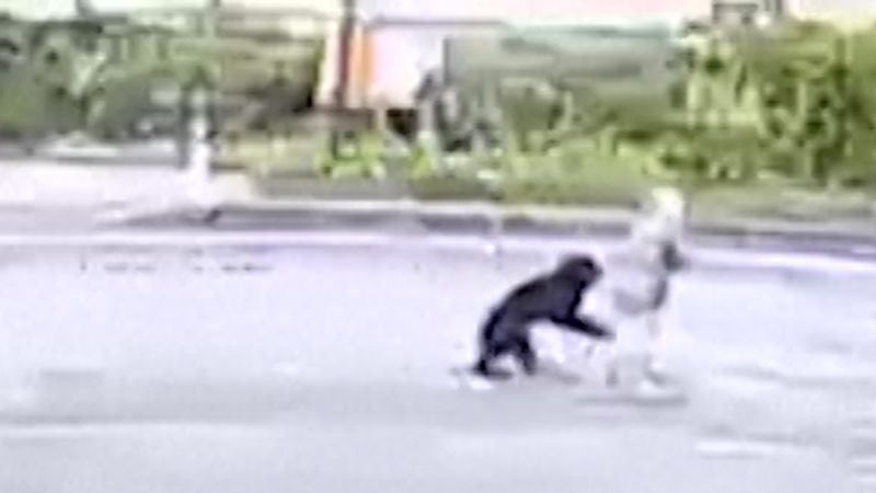 https://media.cnn.com/api/v1/images/stellar/prod/114637-japan-bear-attacks-vrtc-thumb-cln.jpg?c=16x9&q=w_800,c_fill
