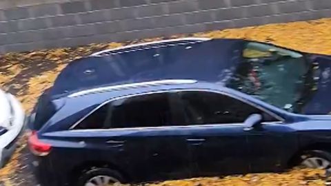 114894_Flooding_in_Brooklyn THUMMB.jpg