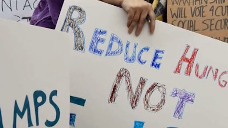 Video: Two federal judges require Trump administration tap into emergency funds to partially cover food stamp benefits