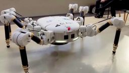 114965_SPIDER_ROBOT_AUSTRALIA vrtc 1.jpg