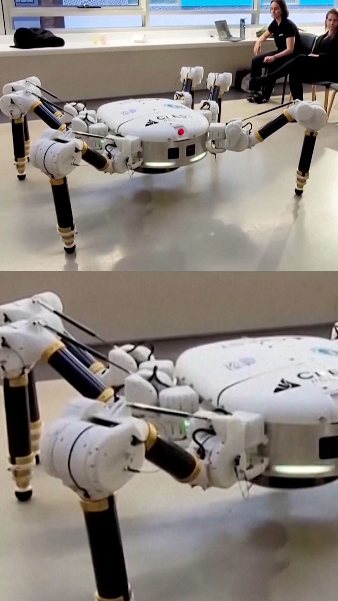 114965_SPIDER_ROBOT_AUSTRALIA vrtc 1.jpg