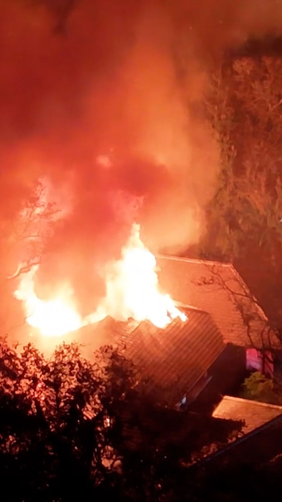 115028_Miami Heat Coach THUMB CL.jpg