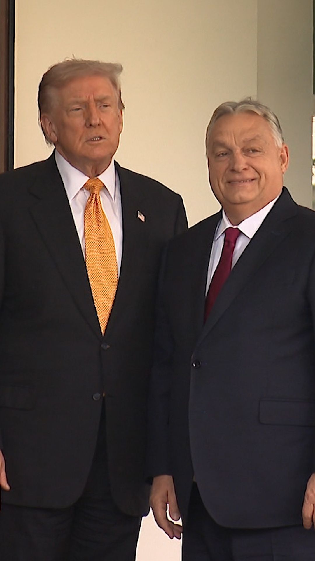 115052_TrumpOrban_VT clean thumbnail.jpg