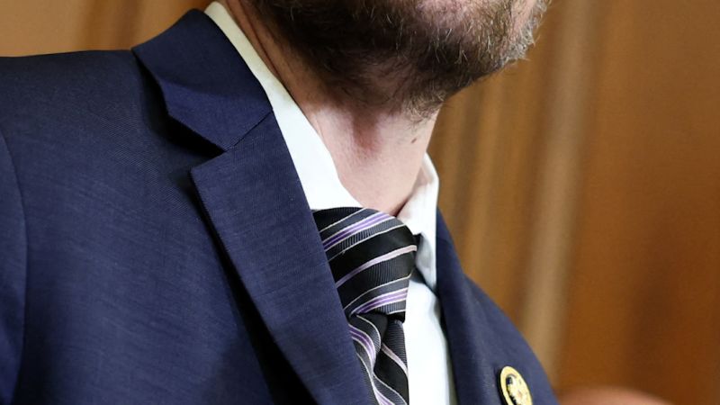 
                            Dana Bash on why Rep. Jared golden is leaving congress | CNN Politics