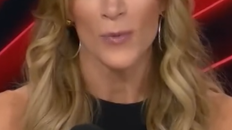 Megyn Kelly questions if Epstein was a pedophile