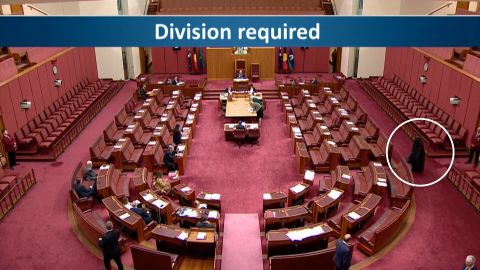 115403_AustralianPoliticianBurqa 16x9.00_00_02_08.Still001.jpg