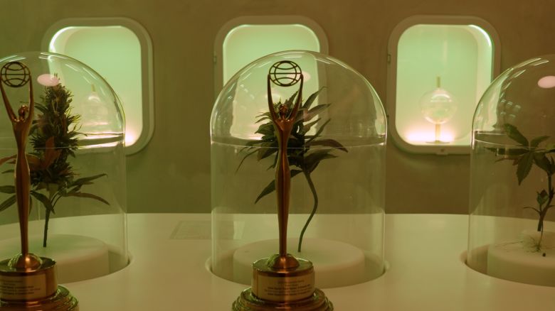 115408_GreenWednesday_HORZ THUMB 4.jpg