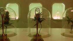 115408_GreenWednesday_HORZ THUMB 4.jpg