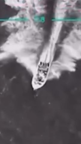 115583_WillTrumpRelease THUMB.jpg