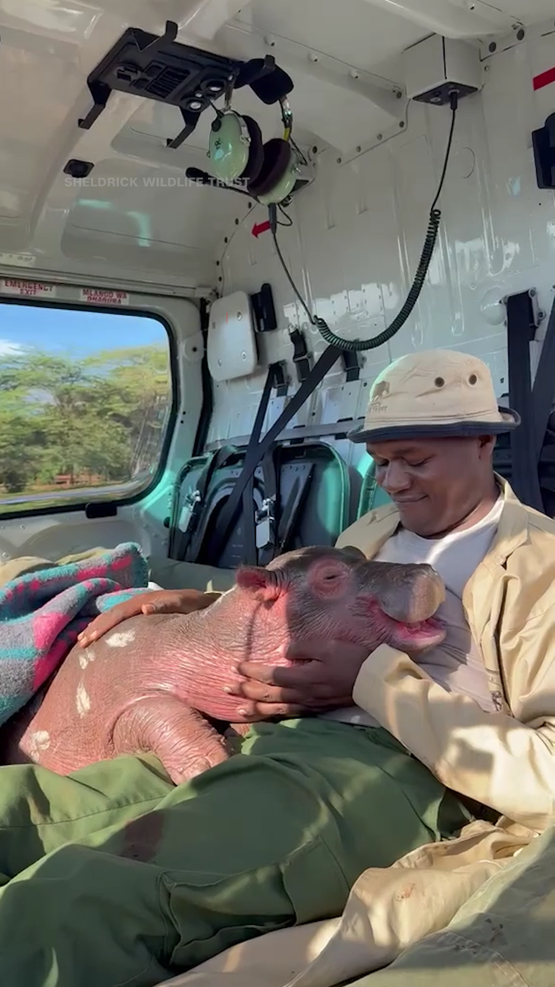 119440_BumpyTheHippo Thumbnail.png