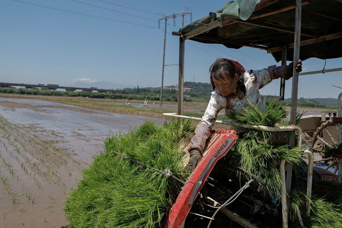 A farmer's planting is delayed by heavy rainfall in Jiangxi province on July 5.