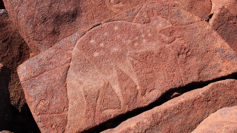 Fat-tail petroglyph