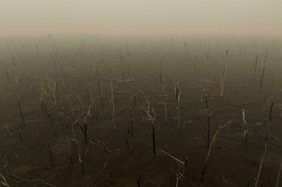 Las secuelas de un incendio forestal cerca de la carretera BR-364 en Porto Velho, Brasil, como aparece en la serie "Apocalipsis" del fotógrafo Lalo de Almeida.