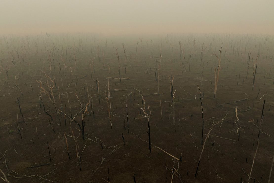 Las secuelas de un incendio forestal cerca de la carretera BR-364 en Porto Velho, Brasil, como se presenta en la serie del fotógrafo Lalo de Almeida 