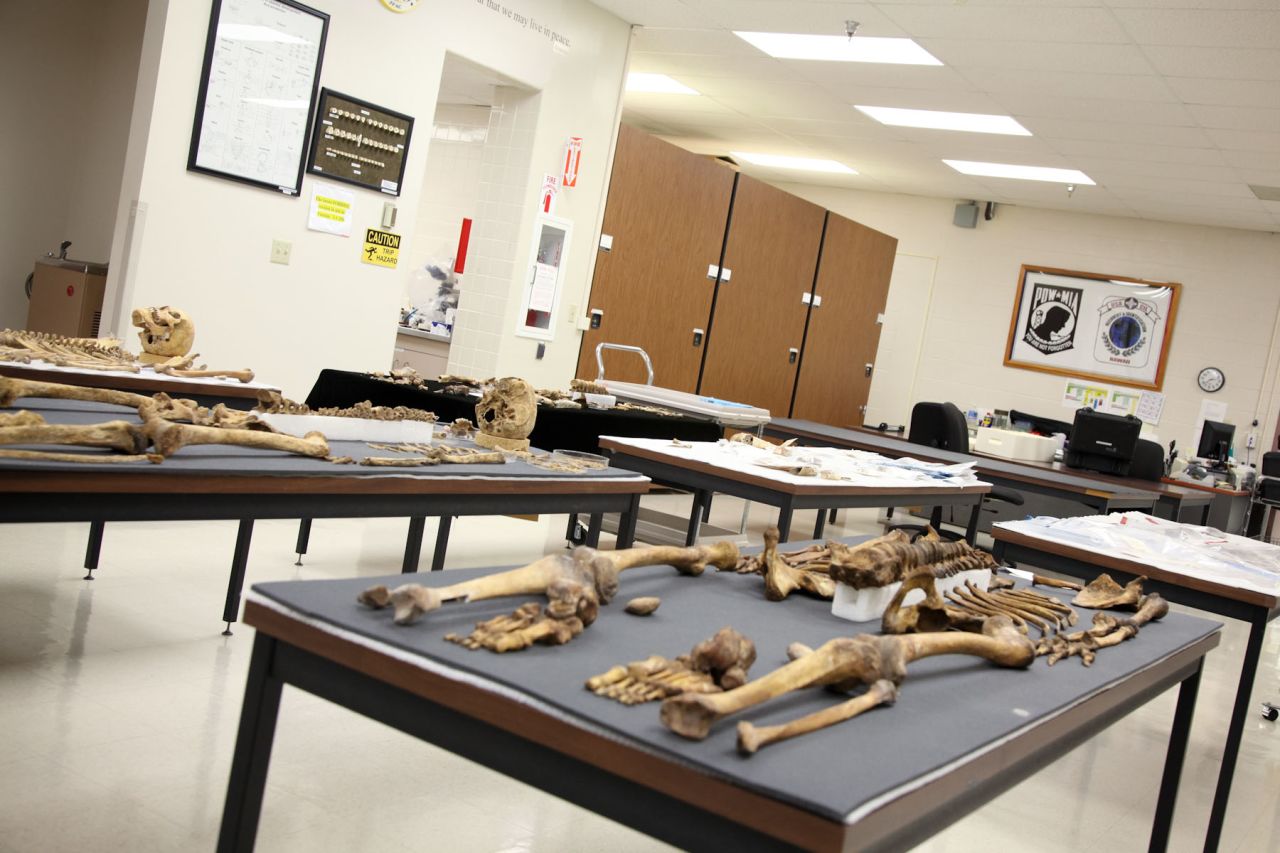 Partial skeletons and bone fragments fill tables at JPAC's home in Hickam Air Force Base which was also the site of the Pearl Harbor attack.