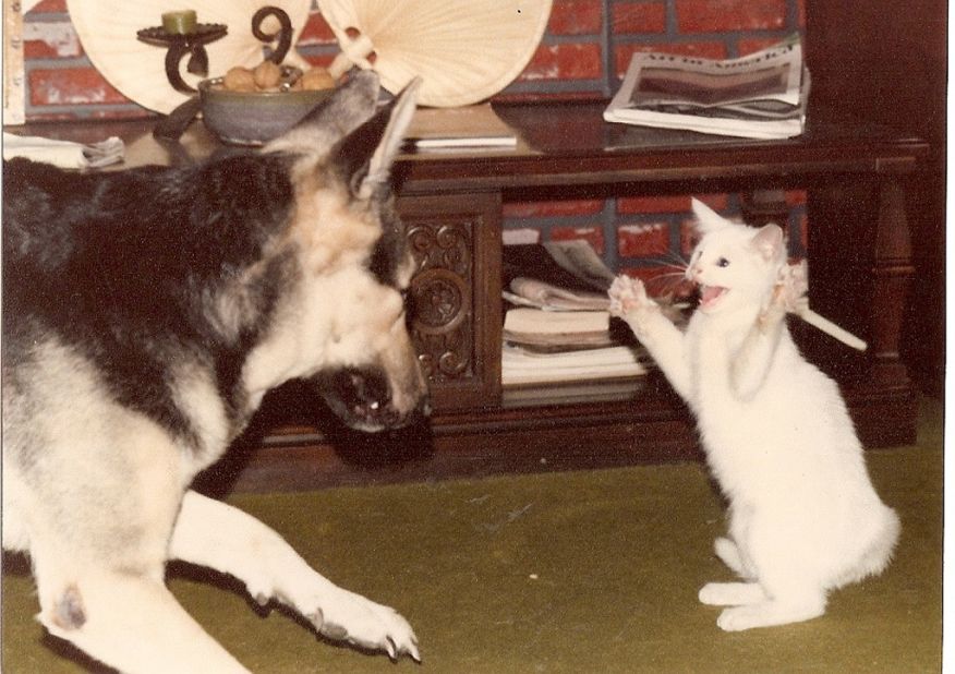 Gretel, left, plays with Hansel, an adopted kitten. Anita de la Cruz used an Instamatic camera to take this photo in December 1977. "It is special to have photos like these from the past to reminisce, laugh and share with others," she said.