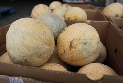 Cantaloupes tainted with salmonella infected more than 260 people across 24 states in October 2012. Three people in Kentucky died and 94 were hospitalized. Investigators determined Chamberlain Farms Produce Inc. of Owensville, Indiana, was the source of this outbreak. 