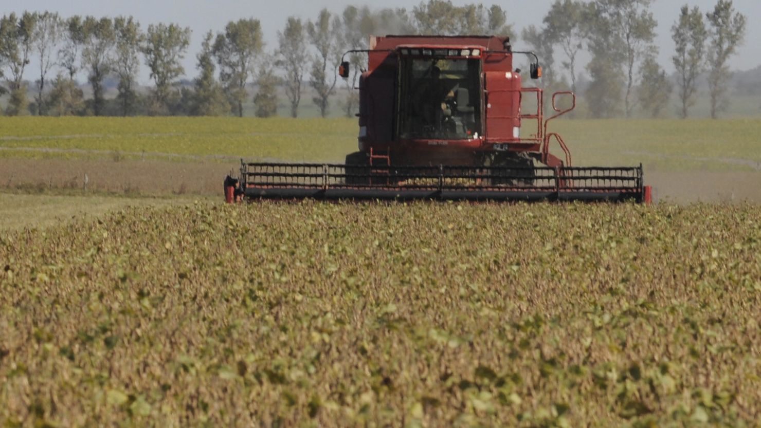 A combine harvests soybeans in a field in the locality of Perez Millan, Argentina. Crops could be damaged by ongoing drought.