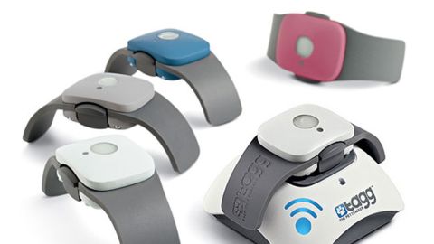 This <a href="http://www.pettracker.com/" target="_blank" target="_blank">collar is part of a GPS tracking system</a> that pinpoints a dog's whereabouts on a map. Owners also can create a "virtual fence" called the Tagg zone in their neighborhoods; if your dog wanders outside the zone, you'll receive a text and/or e-mail alert. Available: now. Price: $99, plus a $7.95 monthly fee.
