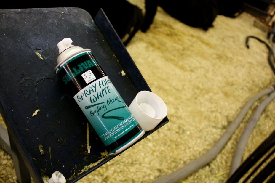 Handlers use dozens of different bovine beauty products like this styling mousse.