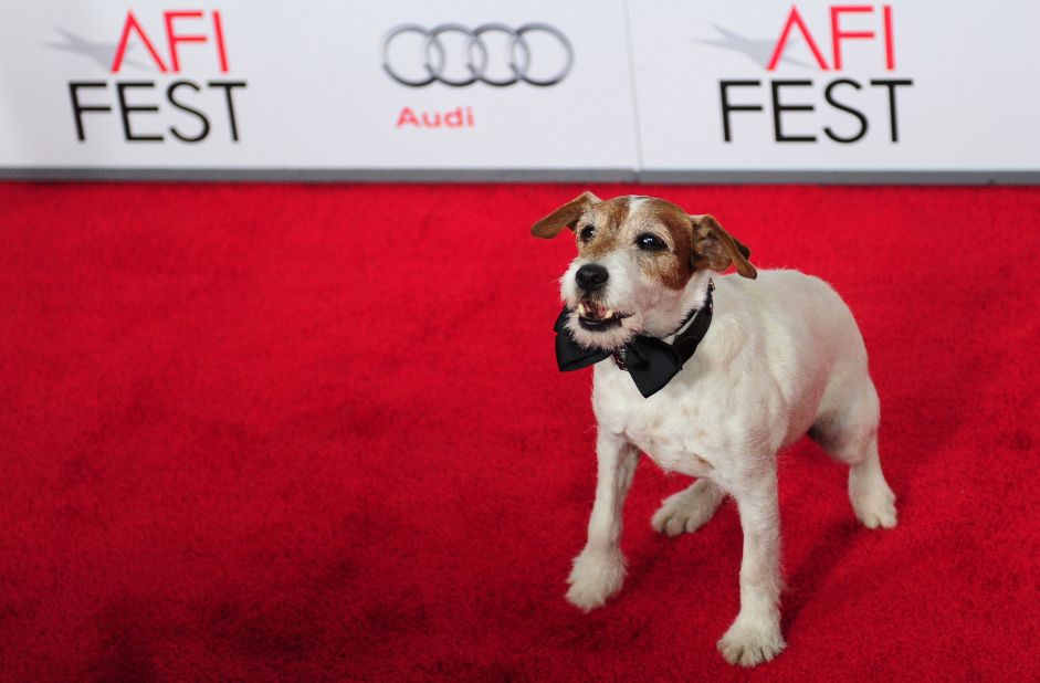 Uggie the dog at a 2011 screening of "The Artist" at Grauman's Chinese Theater in Hollywood, California. The Jack Russell terrier, who charmed audiences in the Oscar-winning movie and at his related red-carpet appearances, died this month at the age of 13. Click through the gallery for other celebrated animals.