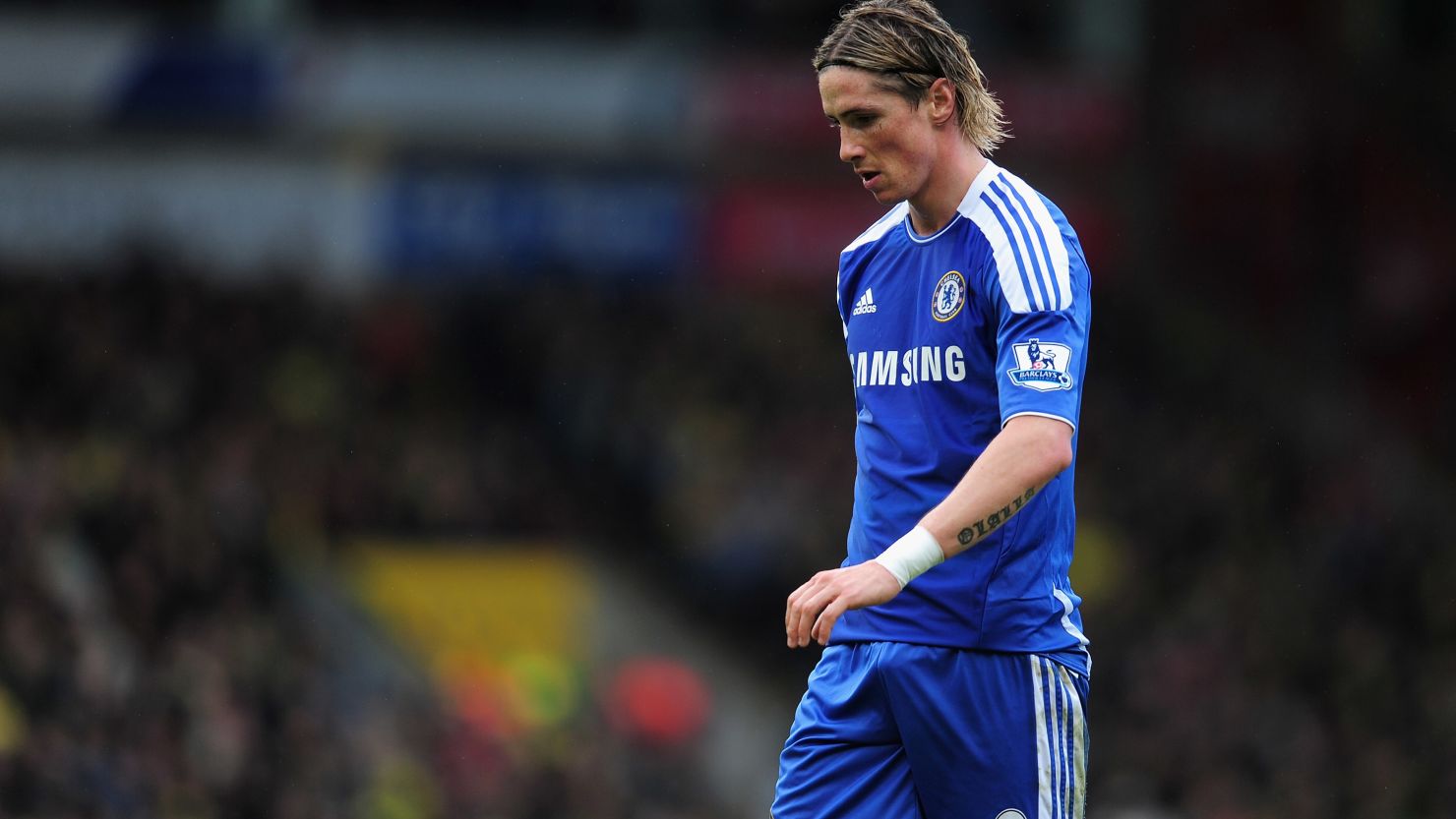 Fernando Torres cuts a forlorn figure as he and Chelsea failed to score against Norwich City on Saturday 