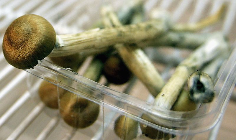 Santa Cruz decriminalizes magic mushrooms and other natural